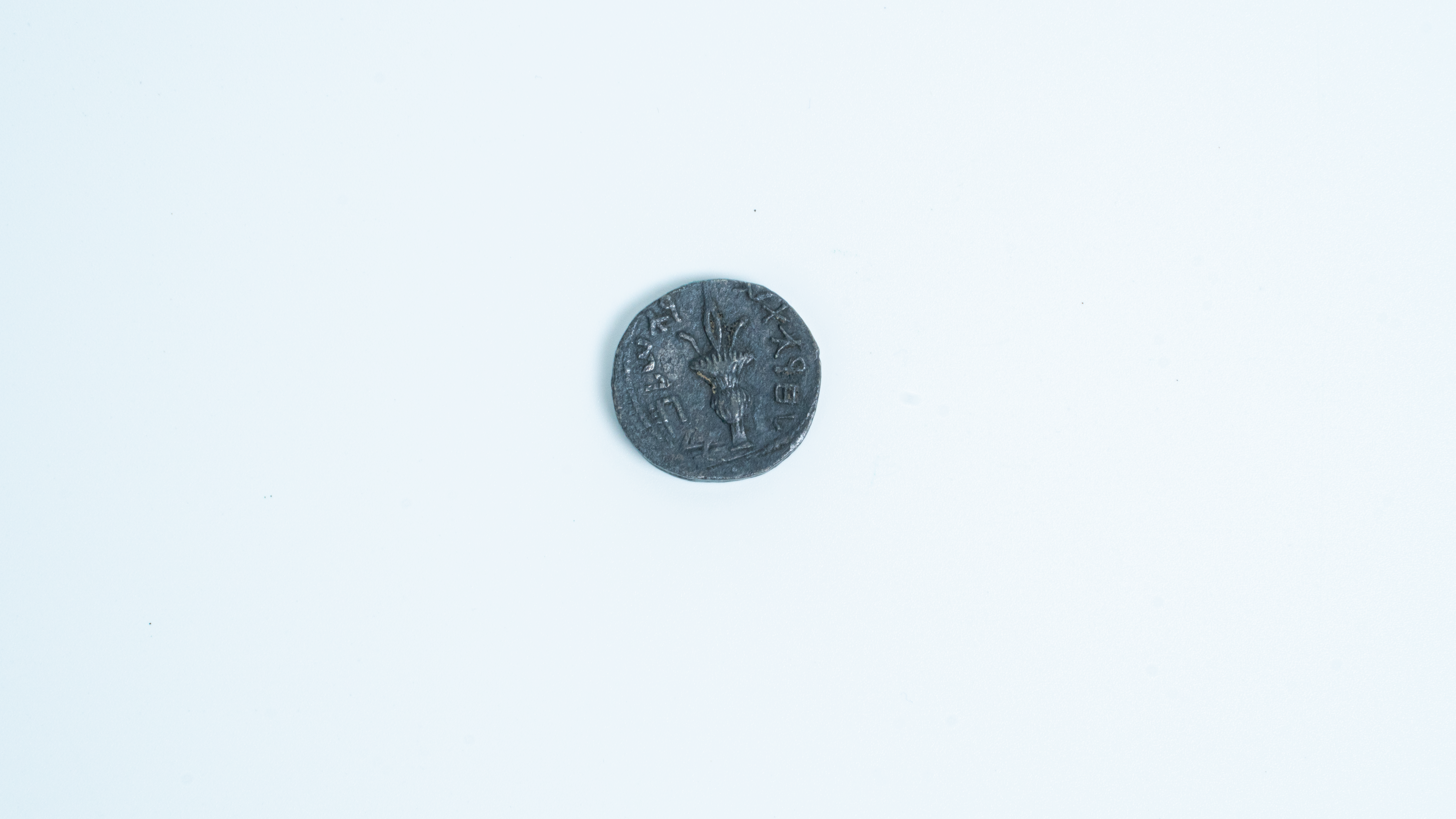 moedas