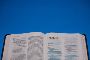 Salmos 1